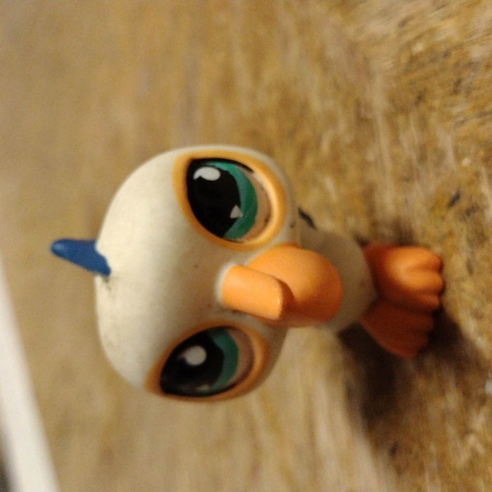 Littlest Pet Shop Pelican